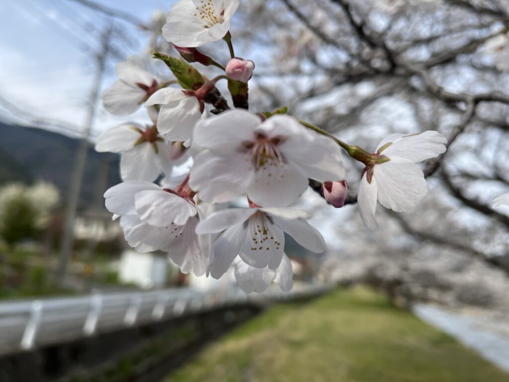 66b0cb84 a058 4d44 8ea0 def390997f66